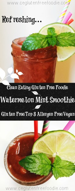 Watermelon Mint Smoothie