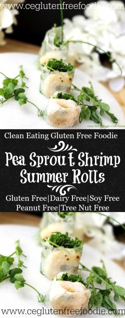 Pea Sprout Shrimp Summer Rolls