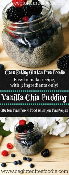 Vanilla Chia Pudding