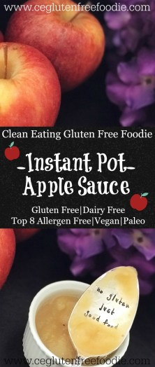 Instant Pot Apple Sauce