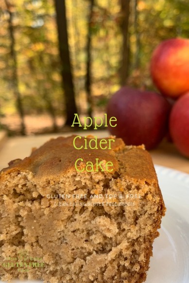 apple cider cake blog.JPG